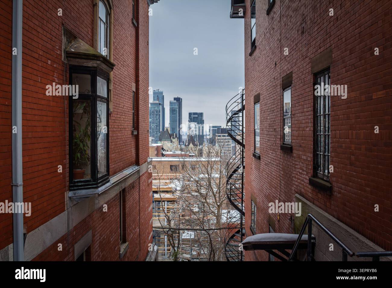 Veduta dello skyline di Montreal e del centro citta' dal centro cittadino tra edifici residenziali in mattoni rossi, che mostrano alloggi urbani, torri commerciali e densità immobiliare Foto Stock