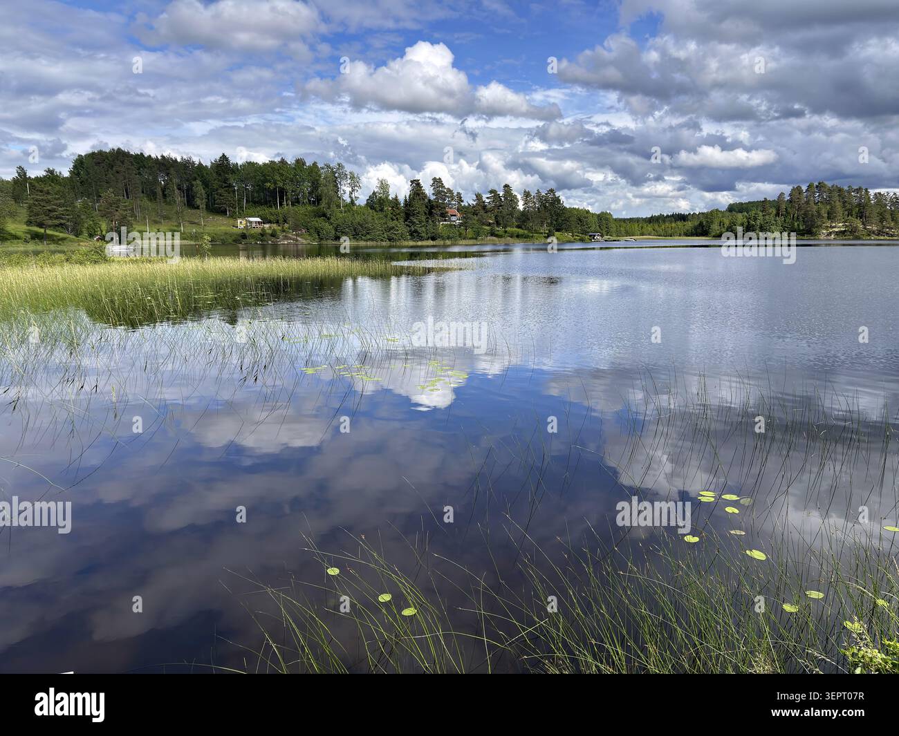 Un lago tranquillo sotto un cielo nuvoloso, con riflessi d'acqua cristallina e prati circostanti, Dalsland Canal, Dalsland, Svezia Foto Stock