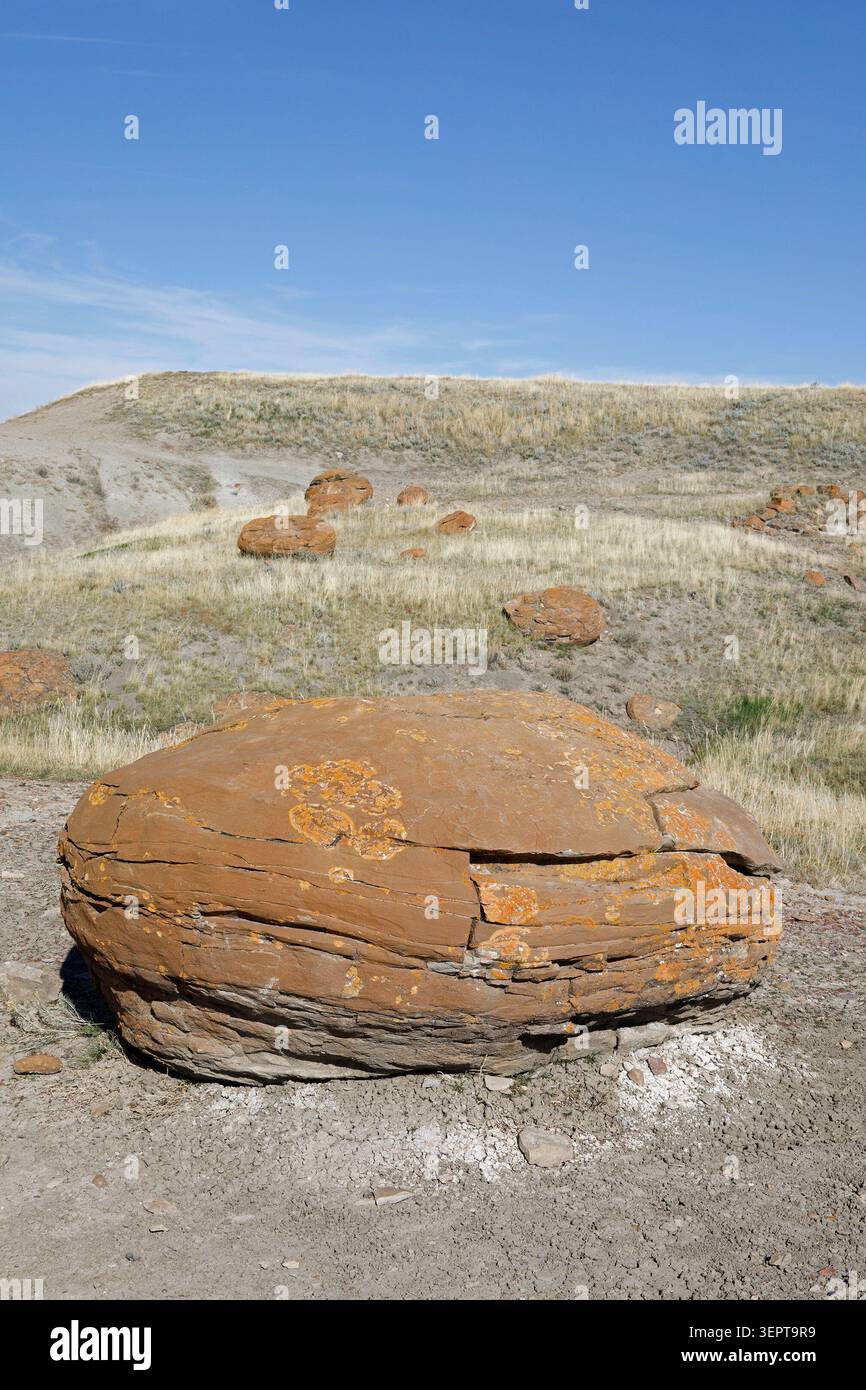 Calcestruzzo di arenaria fratturato nella Red Rock Coulee Natural area, Alberta, Canada Foto Stock