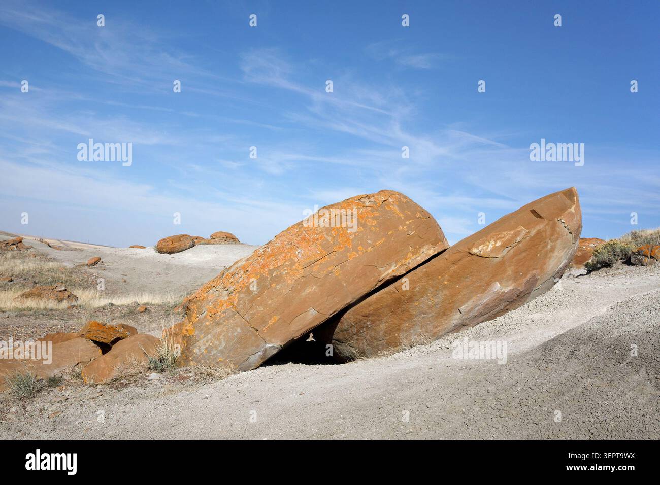 Calcestruzzo di arenaria che è stato intemprato e diviso in due nella Red Rock Coulee Natural area, Alberta, Canada Foto Stock