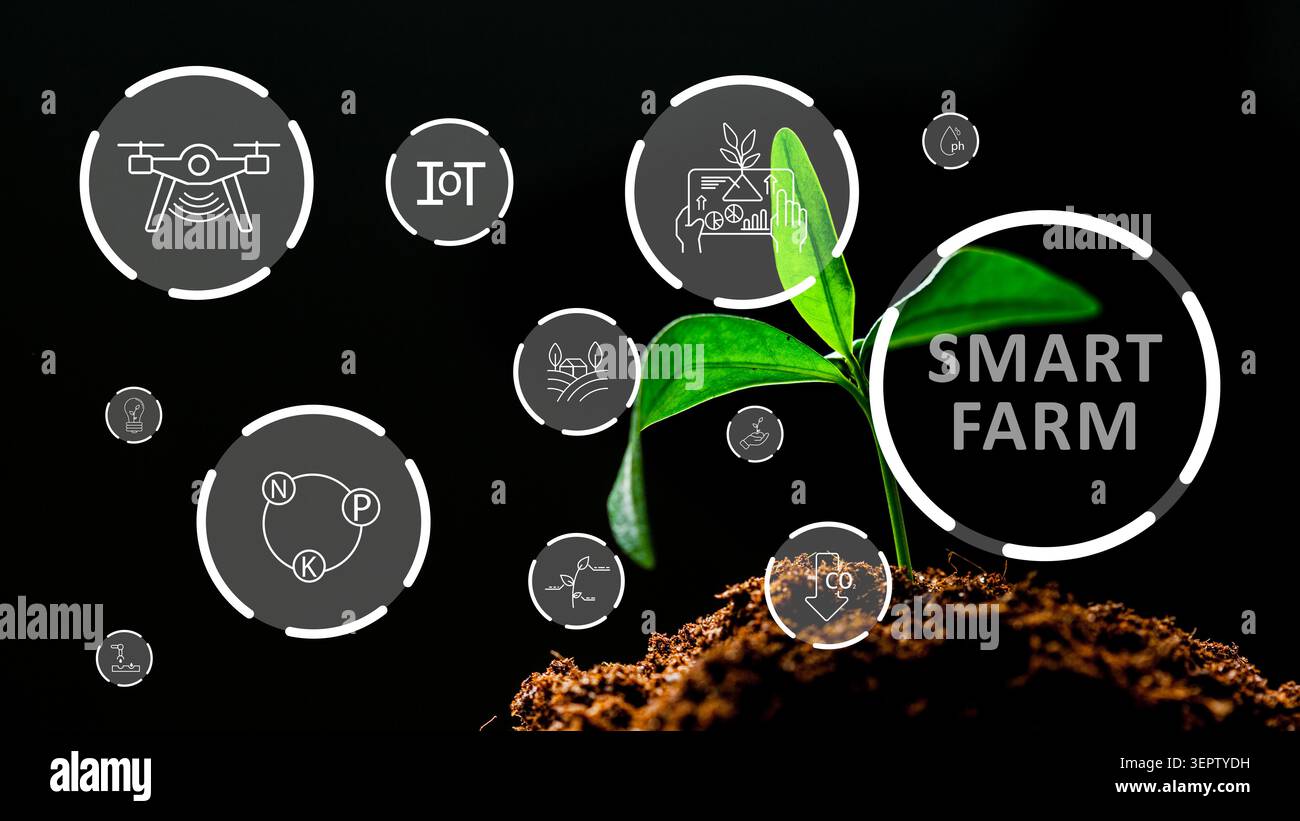 Sistema agricolo intelligente che utilizza la tecnologia per l'agricoltura e la crescita delle colture Foto Stock