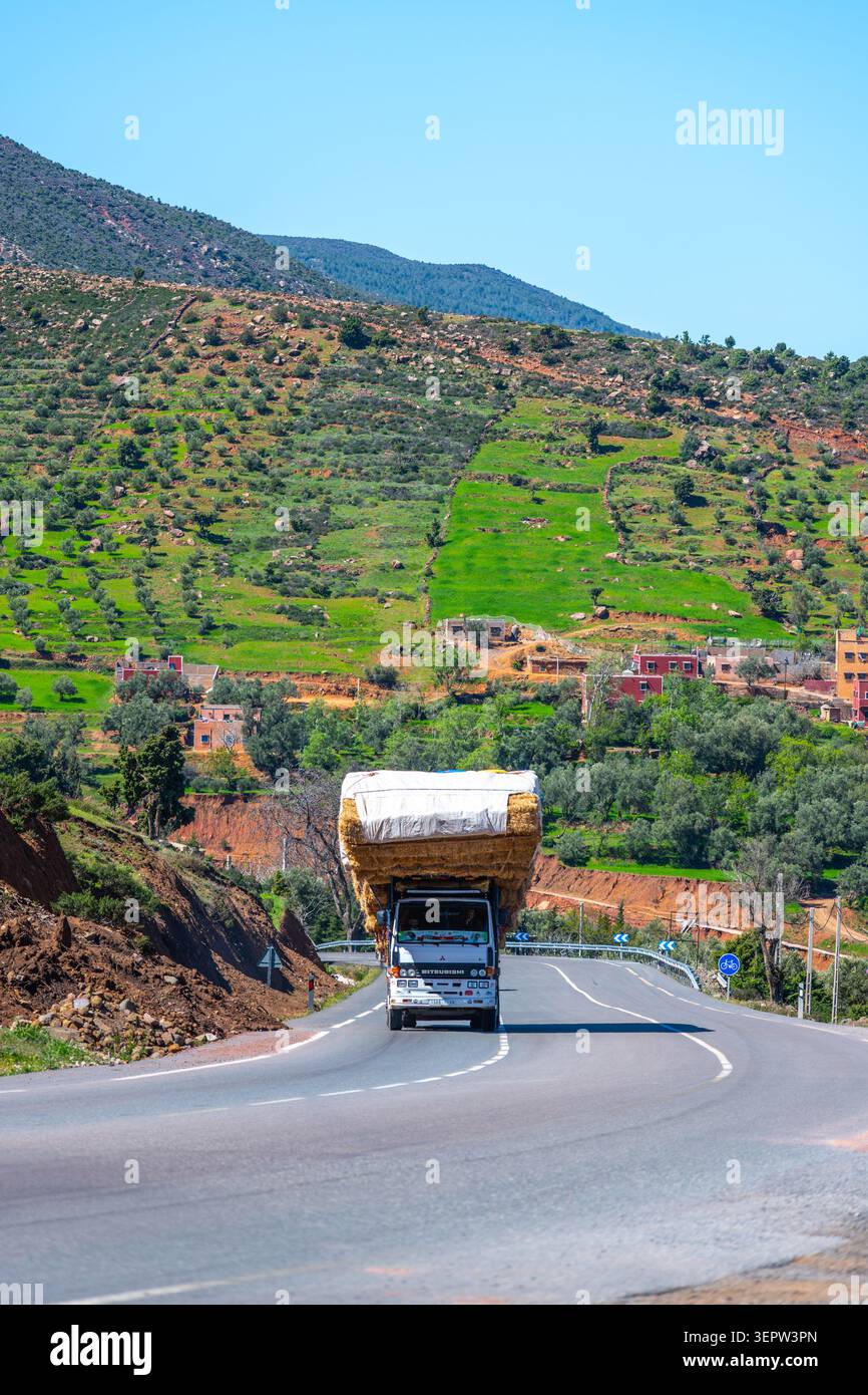Un autocarro guida su una strada tortuosa che trasporta grandi fasci di balle di fieno. Lo sfondo mostra verdi colline e alberi tipici del paesaggio marocchino. La giornata è soleggiata. Foto Stock