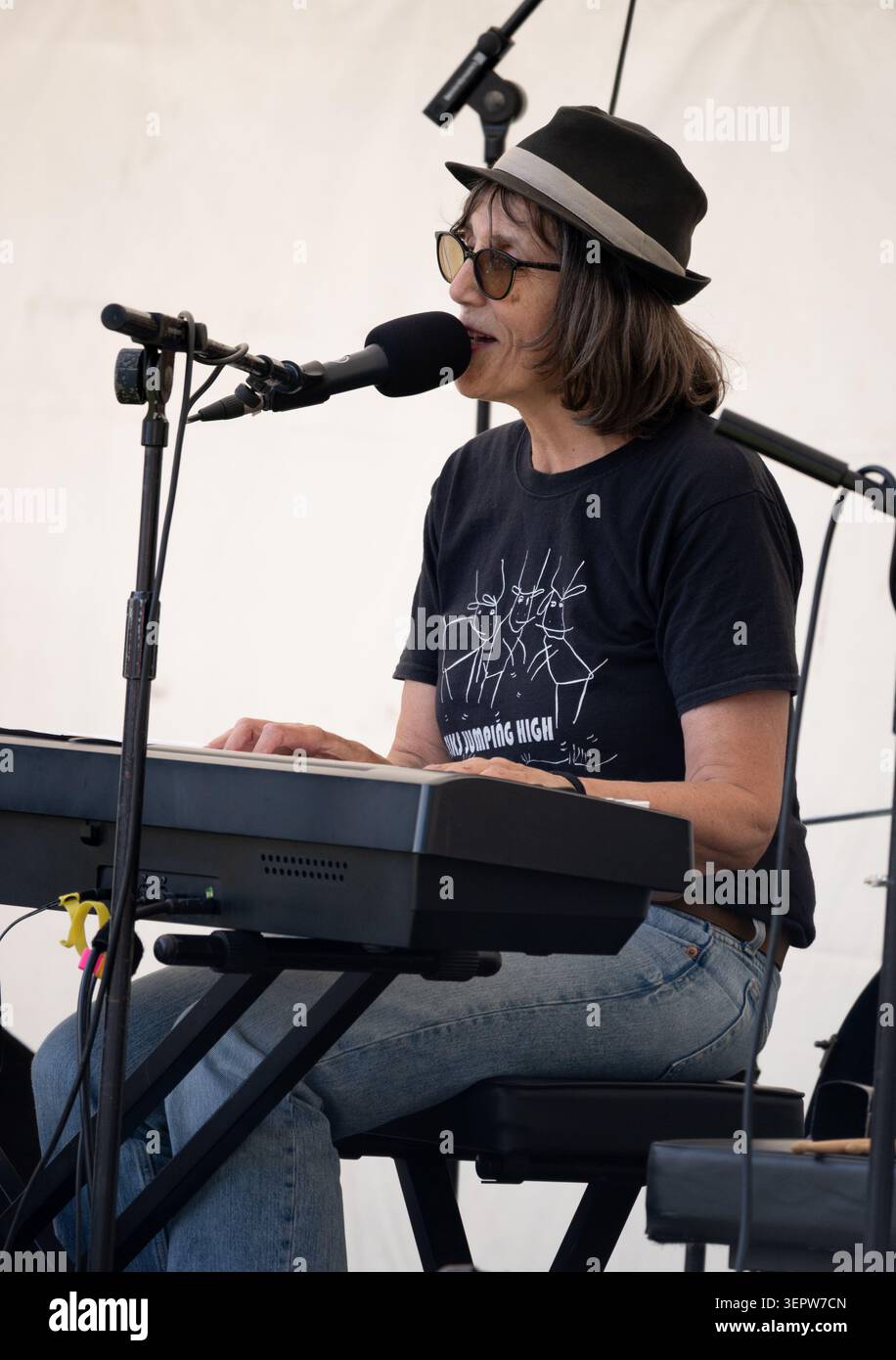 Cantante/tastierista al Leamington Peace Festival, Warwickshire, Regno Unito Foto Stock