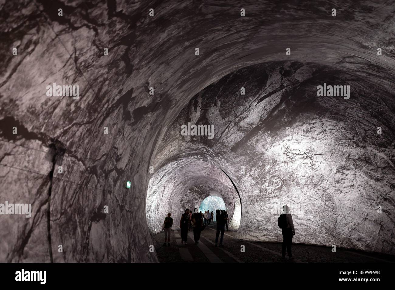 Francia. 15 giugno 2026. © PHOTOPQR/LE PARISIEN/Olivier Corsan ; 15/06/2026 ; Parigi, Francia, le 15 luglio 2026. La CAVERNE de JR sur le Pont Neuf de Paris a ouvert ses portes au Public Après avoir été réparée suite aux Intempéries. Foto : LP/Olivier Corsan Parigi, Francia, 15 giugno 2026 la JR CAVERNE sul Pont Neuf di Parigi ha aperto le sue porte al pubblico dopo essere stata riparata in seguito al maltempo. *** Didascalia locale *** PONT NEUF PARIS JR CAVERNE OUVERTURE credito: MAXPPP/Alamy Live News Foto Stock