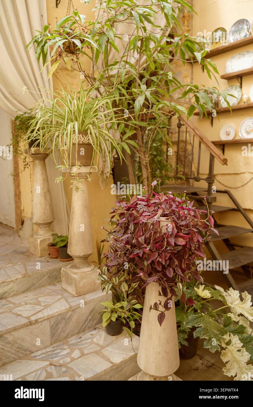 Elegante giardino mediterraneo con piante in pentole e una tovaglia di pizzo bianco Foto Stock