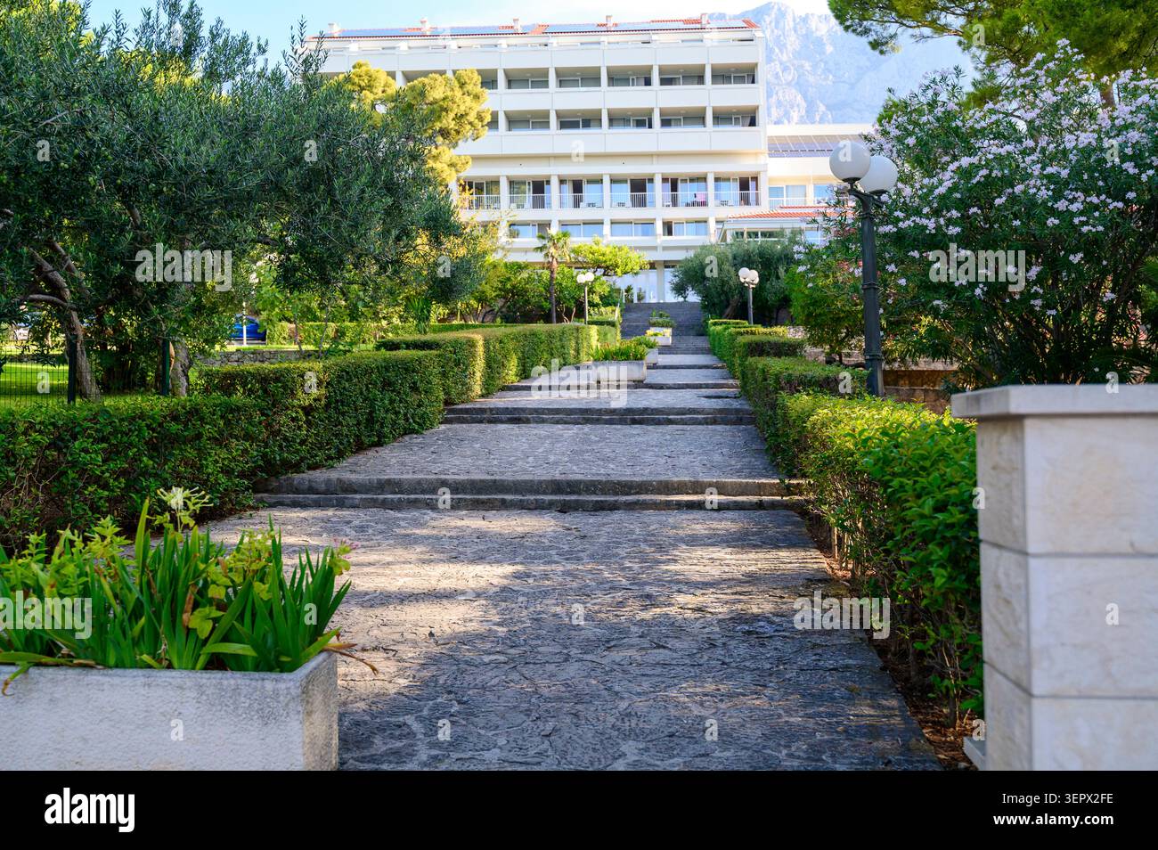 Vicolo lastricato simmetrico fiancheggiato da arbusti verdi curati che conducono ad un complesso alberghiero bianco a più piani. Concetto di staging immobiliare commerciale di qualità superiore Foto Stock