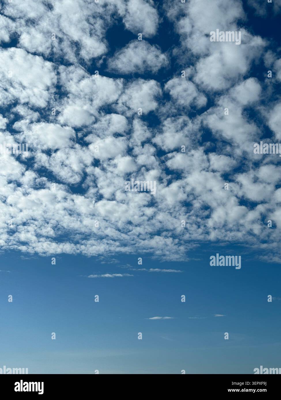 Cielo nuvoloso con nuvole di cumulus sparse e sfondo blu, adatto per l'uso come spazio di copia. Foto mobile Foto Stock