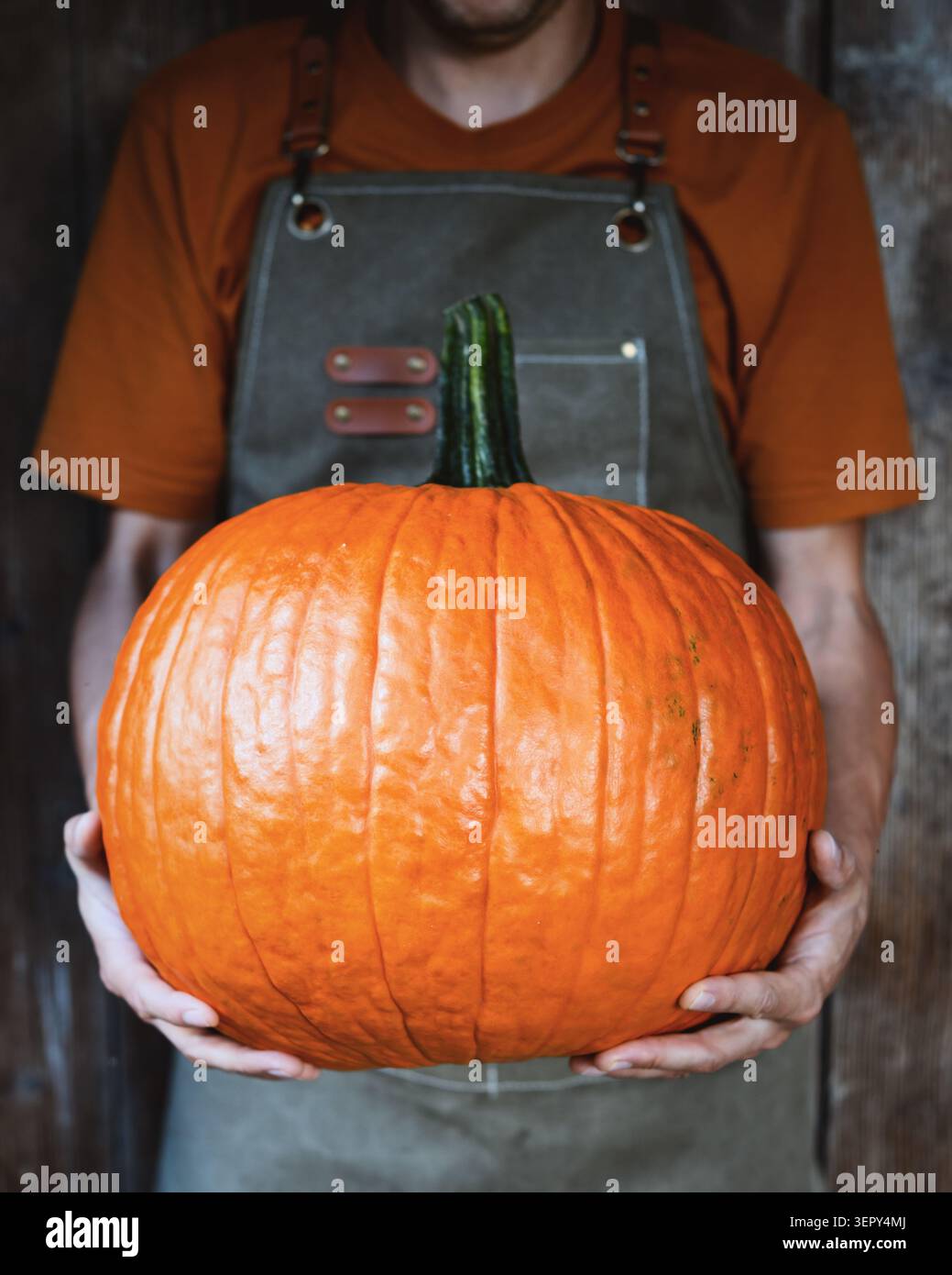 Mani maschili che tengono la zucca arancione su sfondo rustico con illuminazione soffusa. Concetto di raccolto autunnale con zucca e verdure di stagione Foto Stock