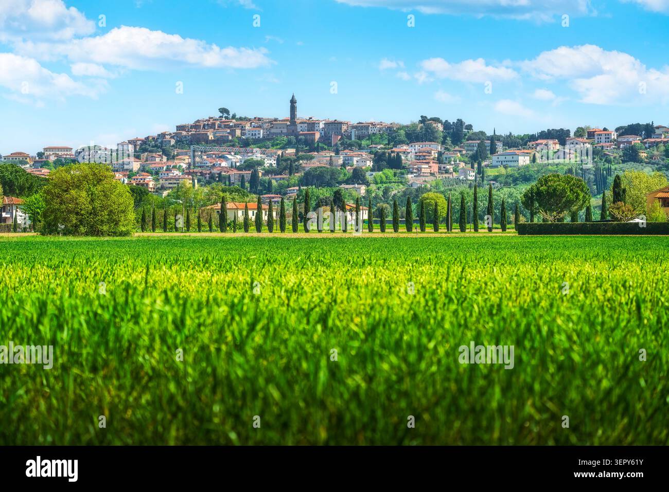 Vista della storica cittadina collinare di Peccioli con un vibrante campo di grano verde e cipressi in primo piano. Provincia di Pisa, Toscana, Italia Foto Stock