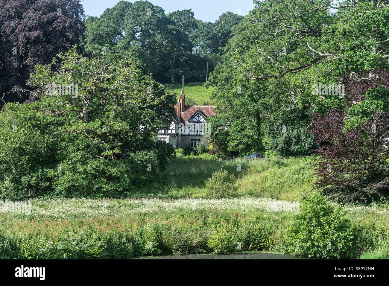 grazioso cottage di campagna nascosto tra alberi Foto Stock