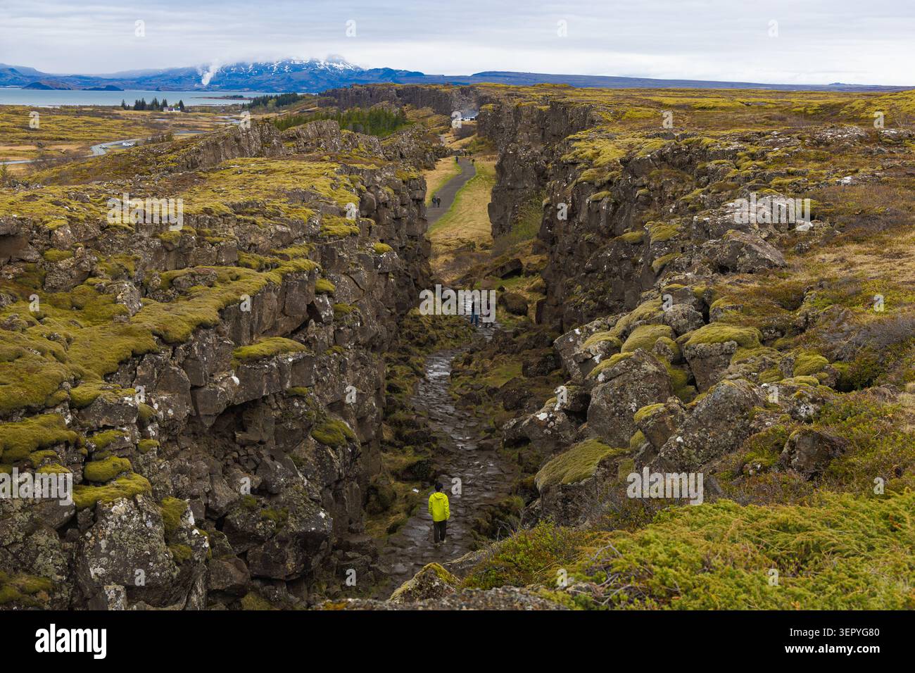 Escursionisti che camminano attraverso la gola dell'Almannagja nel Parco Nazionale di Thingvellir, Islanda, circondato da rocce vulcaniche coperte di muschio sotto un cielo nuvoloso. Foto Stock