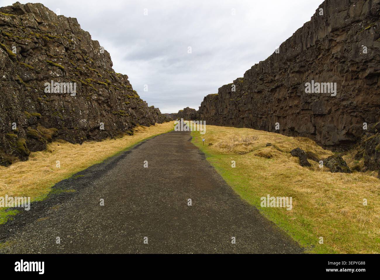 Un sentiero si estende attraverso la suggestiva valle del rift Almannagja nel Parco Nazionale di Thingvellir, Islanda, incorniciata da alte scogliere di basalto e erba secca. Foto Stock
