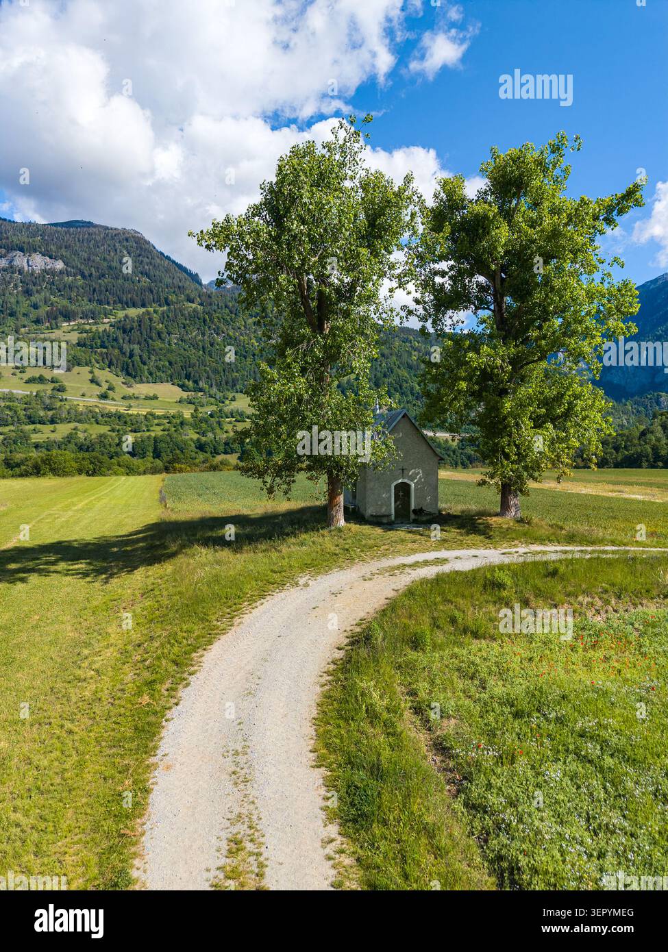 La piccola cappella Sogn Mang nel villaggio svizzero di Bonaduz con due grandi alberi su ciascun lato. Grsions, Svizzera Foto Stock
