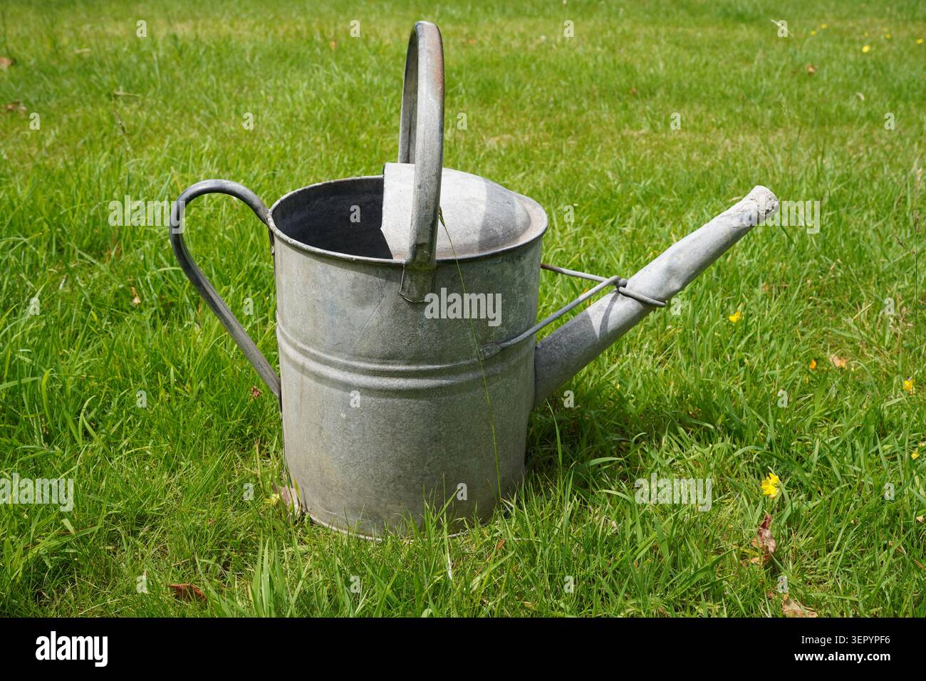 vecchia lattina da irrigazione metallica sul prato erboso. attrezzi da giardinaggio per innaffiare piante e fiori Foto Stock