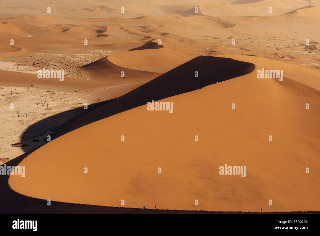 Alba su dune di sabbia giganti a Sossusvlei, Namibia Foto Stock