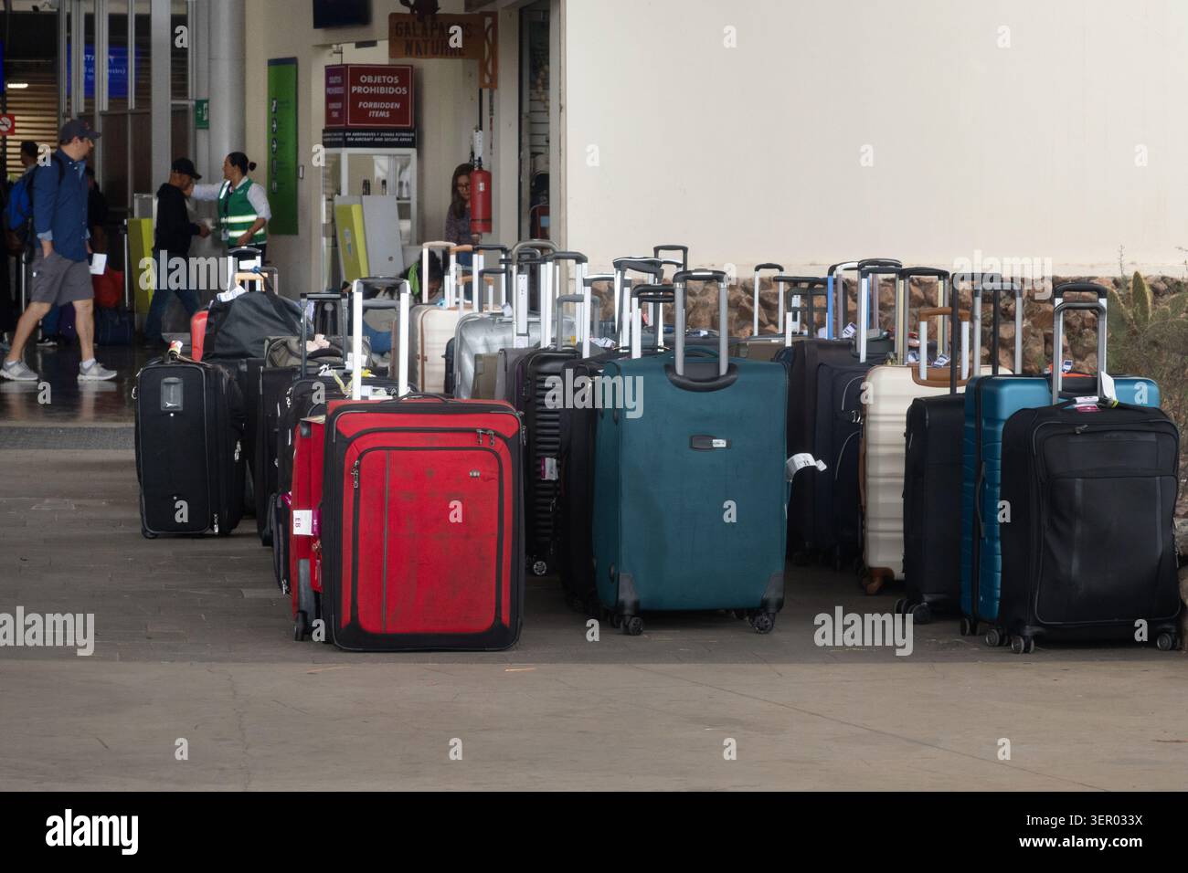 22.12.2024, Ecuador, Isole Galapagos, Santa Cruz - le valigie sono allineate davanti al terminal dell'Aeroporto ecologico Galapagos. 00S241222D319CAR Foto Stock