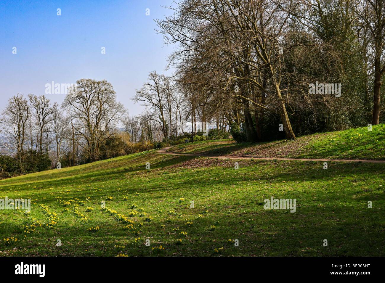 09.03.2026, Germania, Renania settentrionale-Vestfalia, Hattingen - Gethmannscher Garten, noto anche come Giardino di Gethmannís, nel quartiere Blankenstein. Il Foto Stock