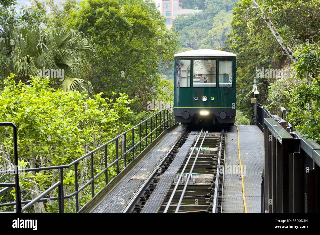 L'iconica funicolare verde Peak tram che sale attraverso la lussureggiante foresta sul Victoria Peak a Hong Kong Foto Stock