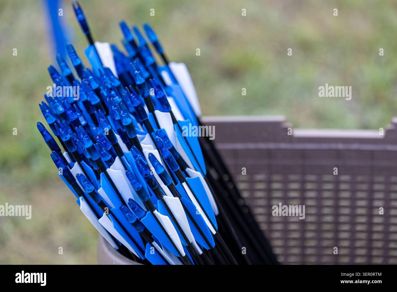 Frecce per il tiro con l'arco per attività all'aperto di team building e tiro a segno. Un fascio di frecce con fletching blu e bianco è raggruppato insieme Foto Stock