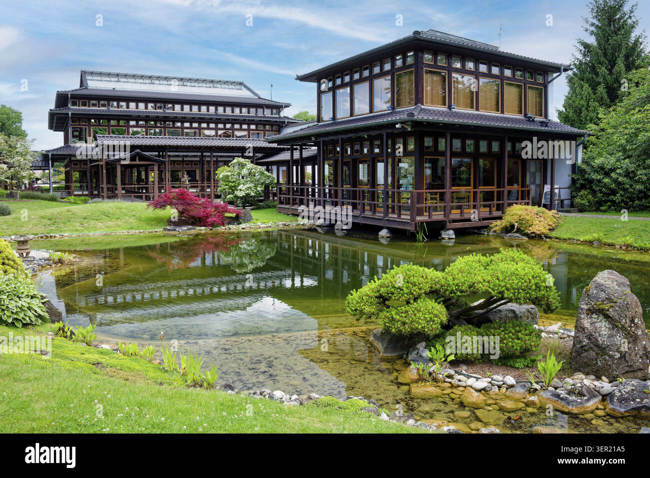 Giardino giapponese, botanica, piante, giardino di beatitudine, padiglione delle piante, casa da tè, città termale, Bad Langensalza, Turingia, Germania Foto Stock