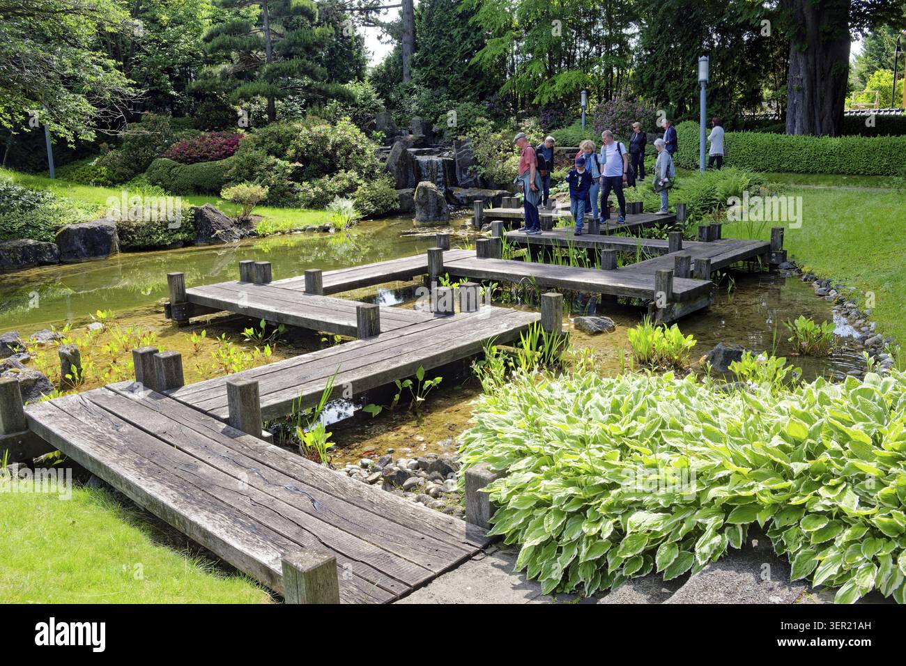 Visitatore, giardino giapponese, botanica, piante, giardino, giardino di beatitudine, città termale, Bad Langensalza, Turingia, Germania Foto Stock