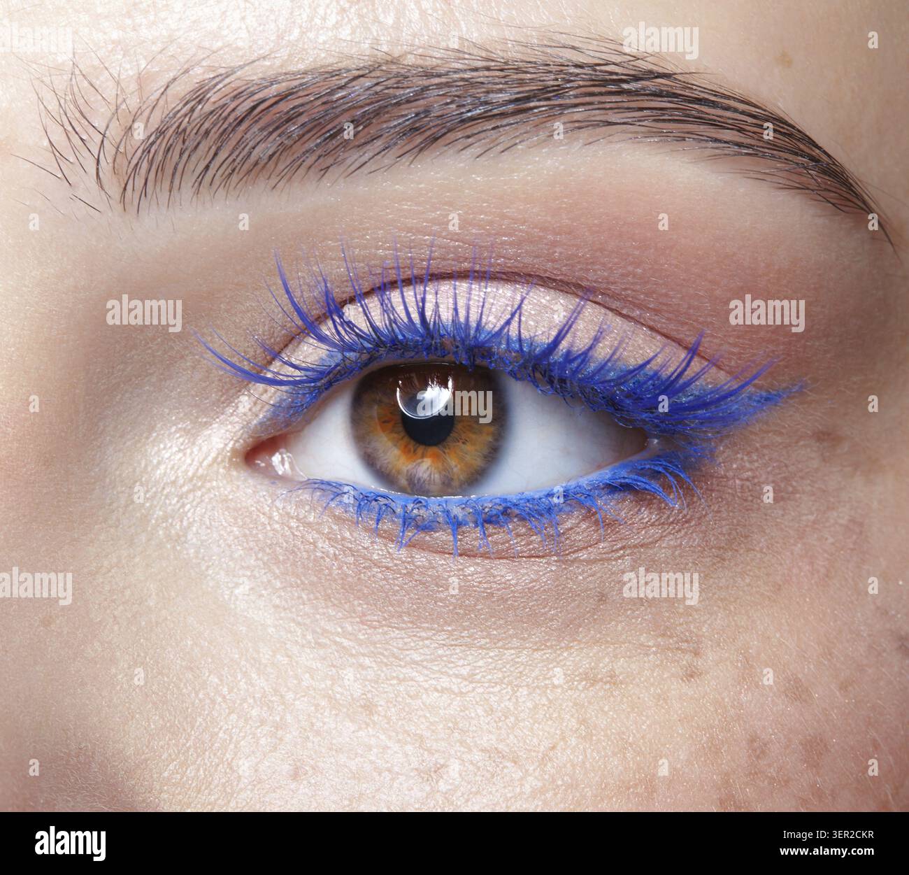 Primo piano macro di occhio umano femminile. Donna con trucco naturale per la sera. Ragazza con pelle perfetta e ciglia blu Foto Stock