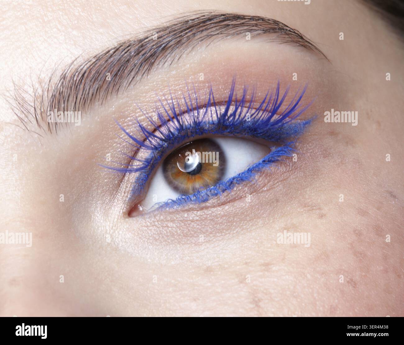 Primo piano macro di occhio umano femminile. Donna con trucco naturale per la sera. Ragazza con pelle perfetta e ciglia blu Foto Stock