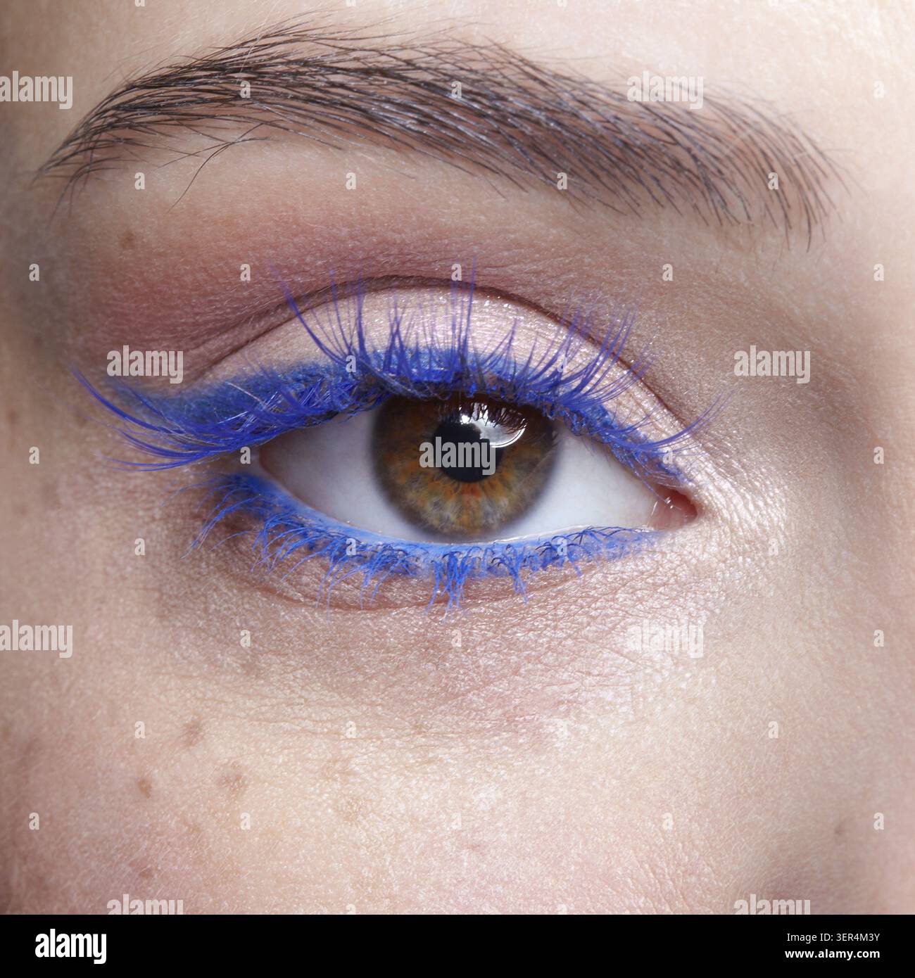 Primo piano macro di occhio umano femminile. Donna con trucco naturale per la sera. Ragazza con pelle perfetta e ciglia blu Foto Stock