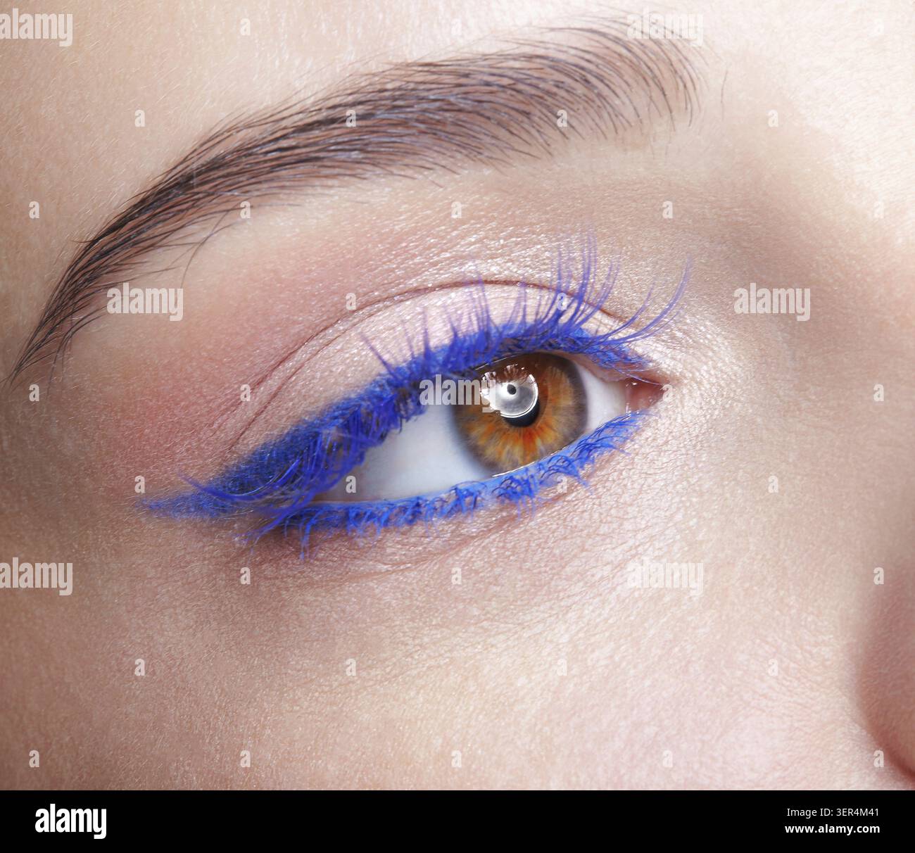 Primo piano macro di occhio umano femminile. Donna con trucco naturale per la sera. Ragazza con pelle perfetta e ciglia blu Foto Stock