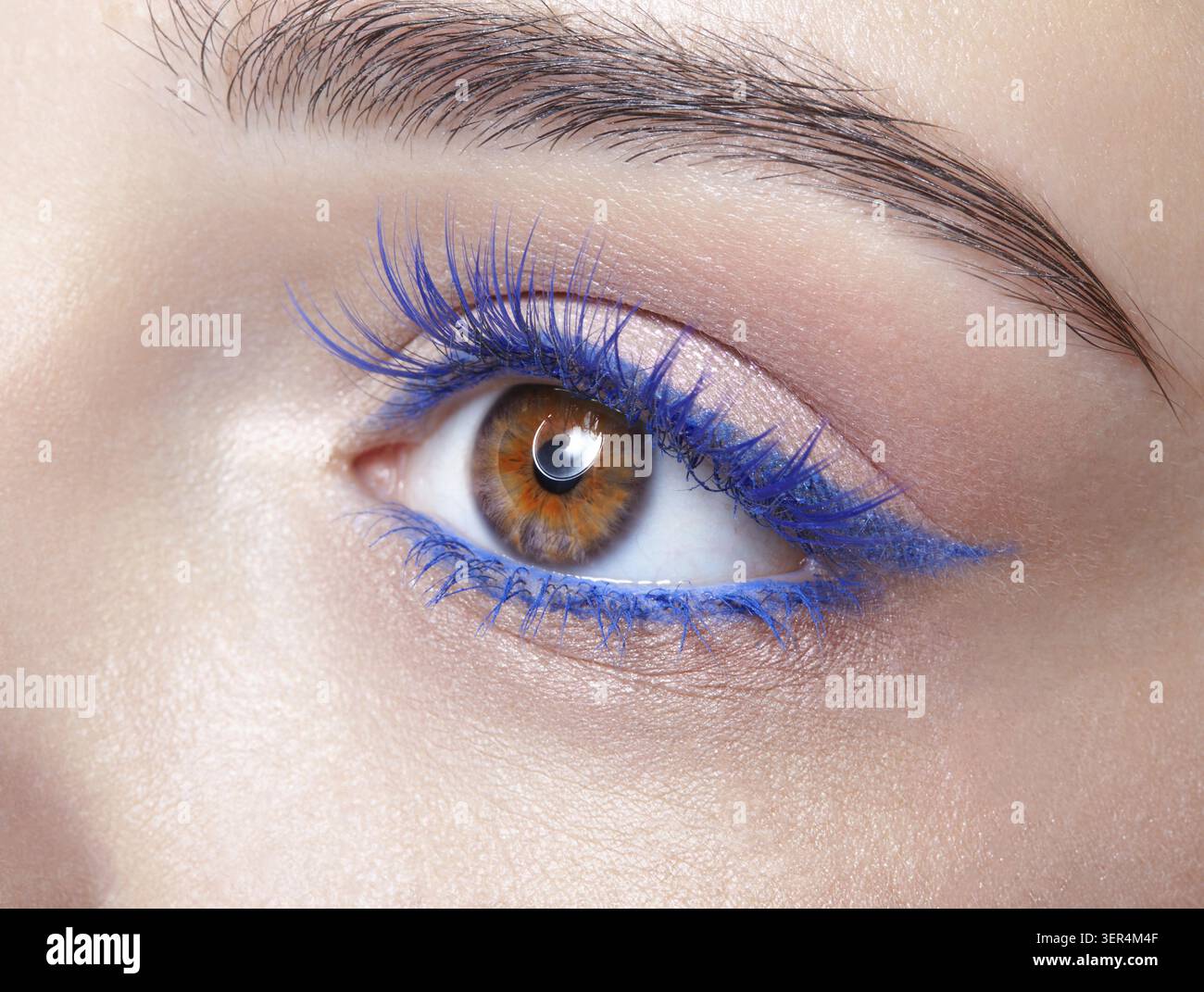 Primo piano macro di occhio umano femminile. Donna con trucco naturale per la sera. Ragazza con pelle perfetta e ciglia blu Foto Stock