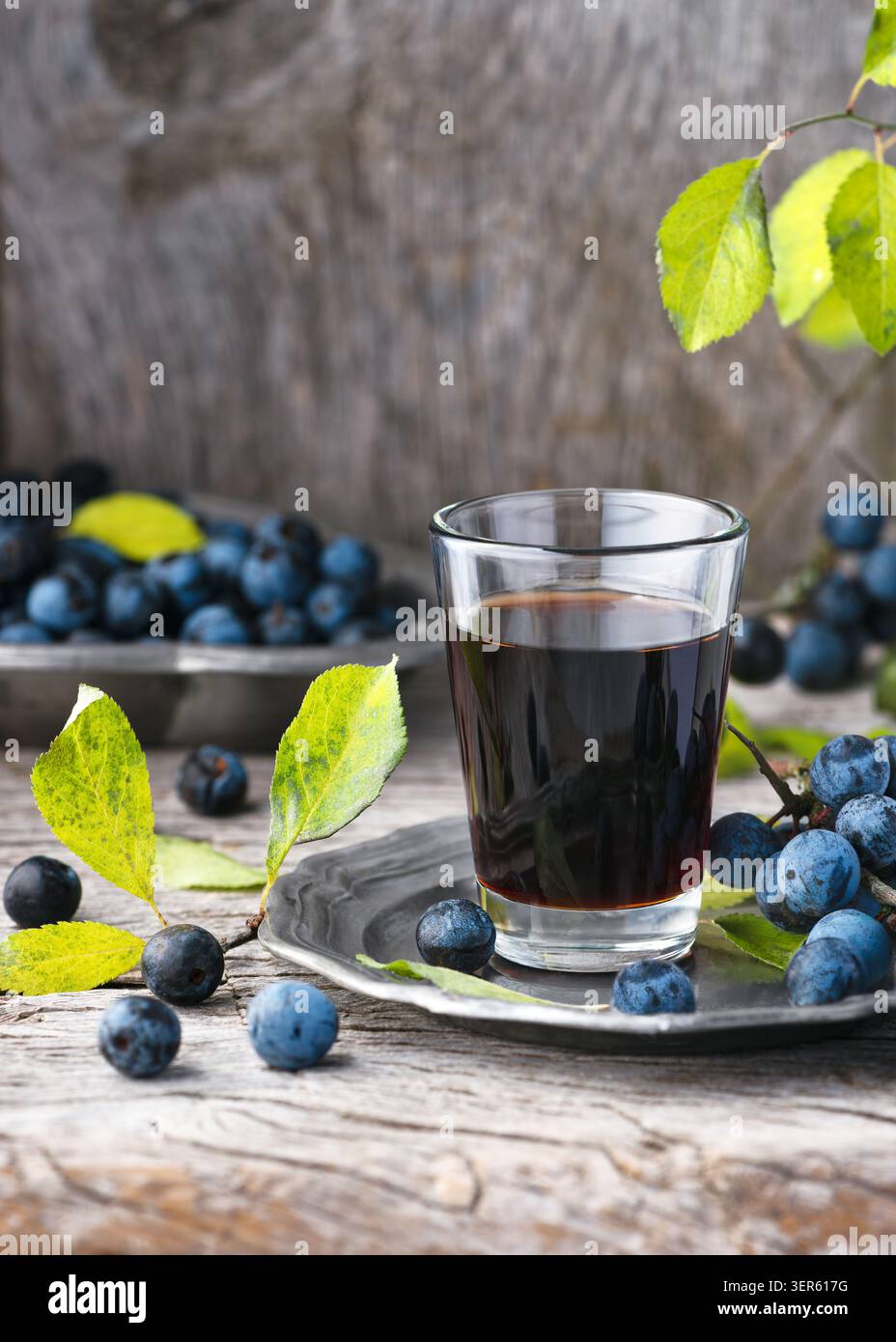 Bevanda fatta in casa con bacche di prugna in vetro su fondo rustico in legno. Frutti di spina nera freschi raccolti di blu scuro (Prunus spinosa) Foto Stock