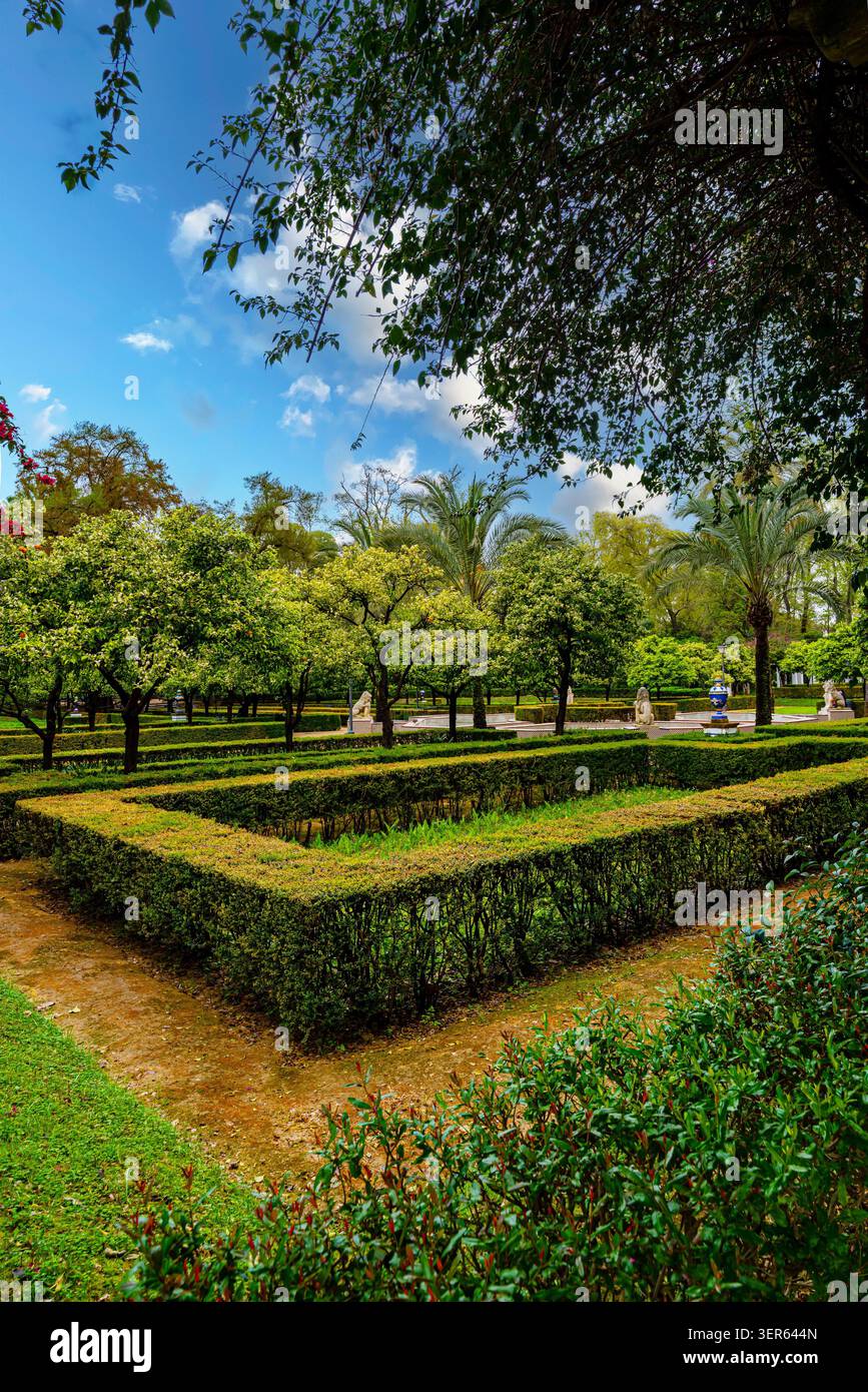 Giardino formale ben tenuto con siepi rifinite geometriche e alberi lussureggianti in un parco a Siviglia in Spagna. Tranquillo spazio verde con cielo nuvoloso e giardino classico. Foto Stock