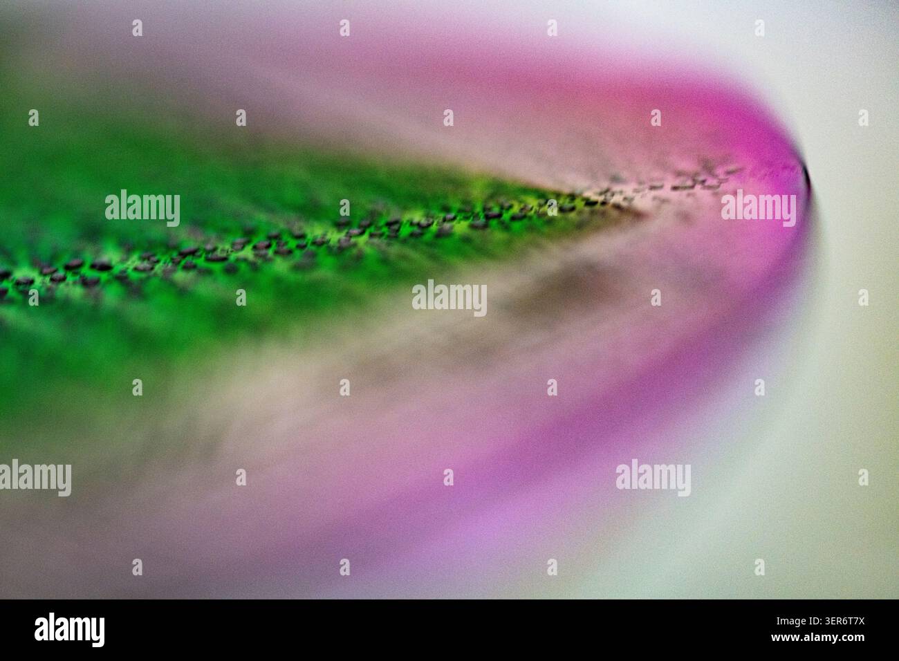 Design a wafer elettronico astratto verde e viola che mostra elementi microchip Foto Stock