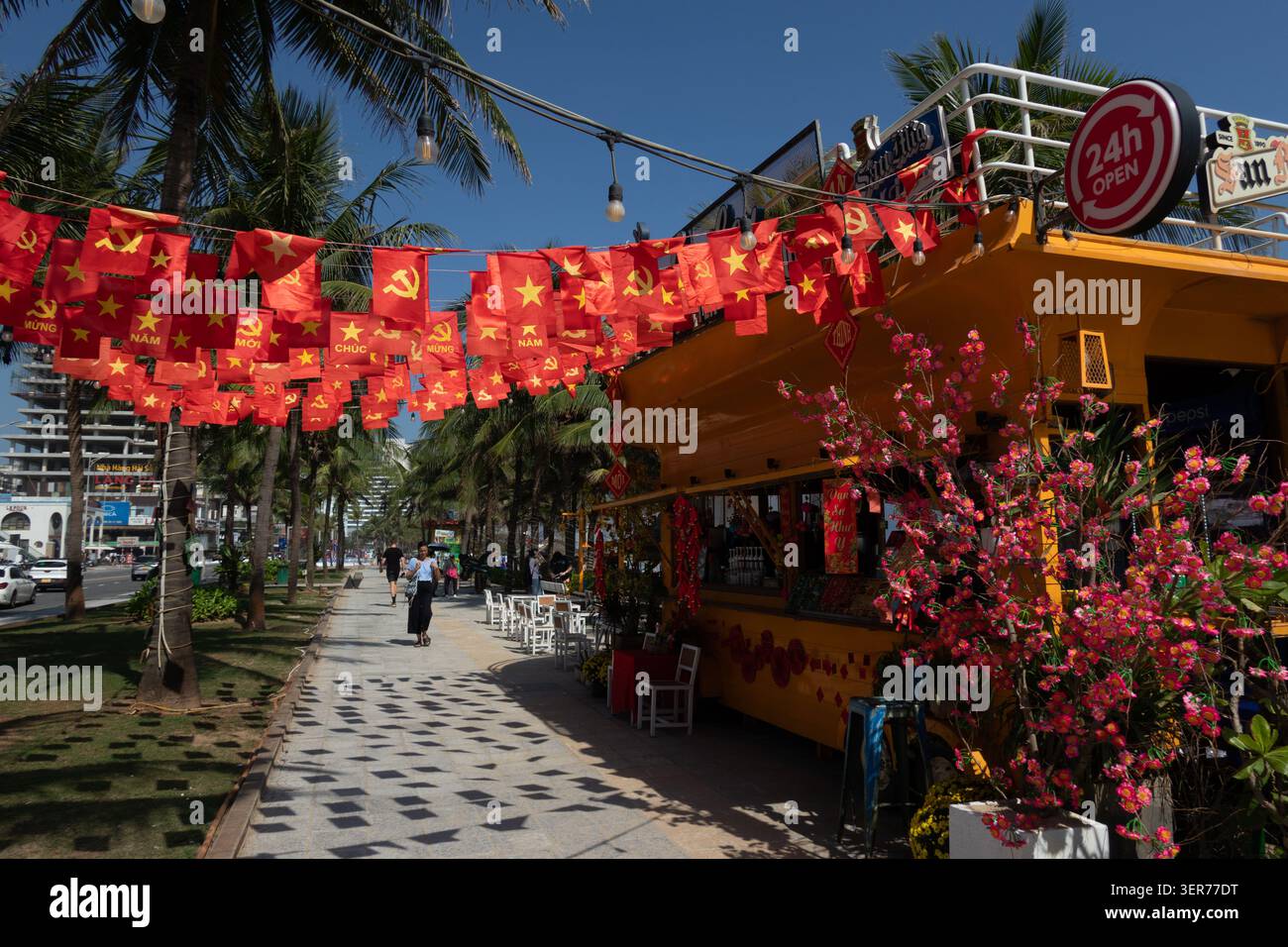 Le bandiere nazionali decorano la strada di da Nang Vietnam Foto Stock
