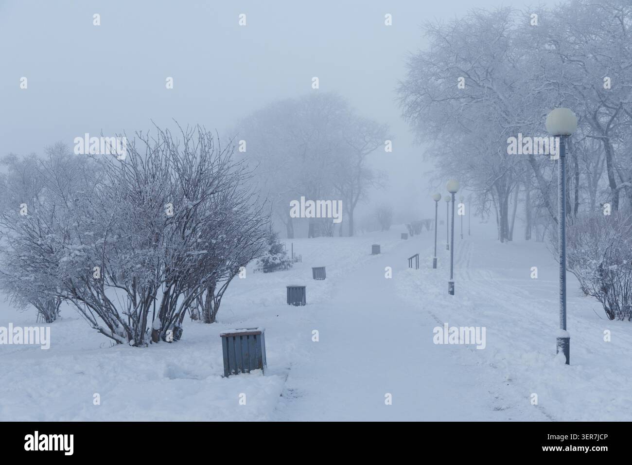 Uno stretto sentiero conduce in profondità in un parco coperto da una coperta bianca. I rami degli alberi brillano di gelo, mentre le luci stradali aggiungono una luce soffusa. Foto Stock