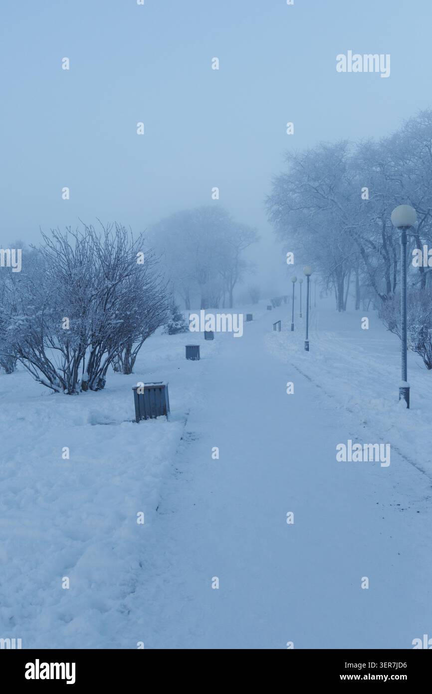 Uno stretto sentiero conduce in profondità in un parco coperto da una coperta bianca. I rami degli alberi brillano di gelo, mentre le luci stradali aggiungono una luce soffusa. Foto Stock