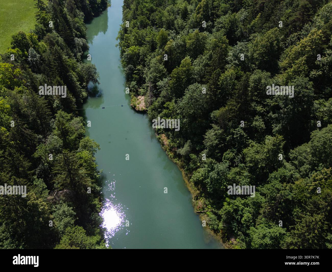 Un fiume si snoda attraverso una fitta foresta che mostra acqua limpida e alberi verdi durante le ore diurne. Foto Stock