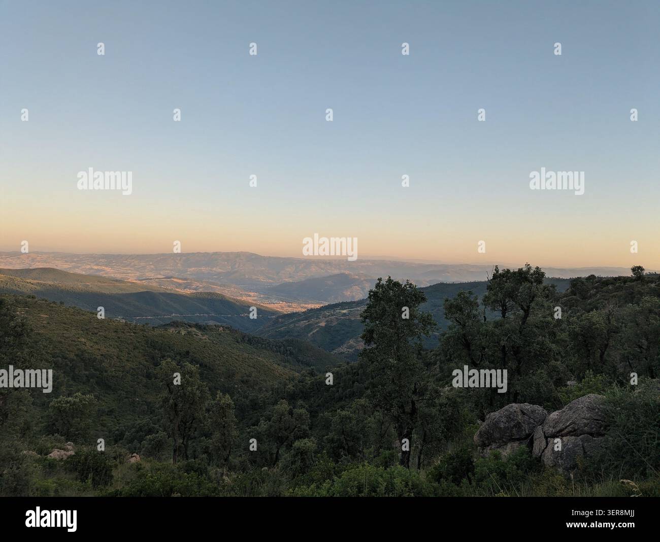 Vista panoramica delle verdi colline e del paesaggio roccioso sotto un cielo nebbioso in Algeria - Immagine stock catturata con smartphone