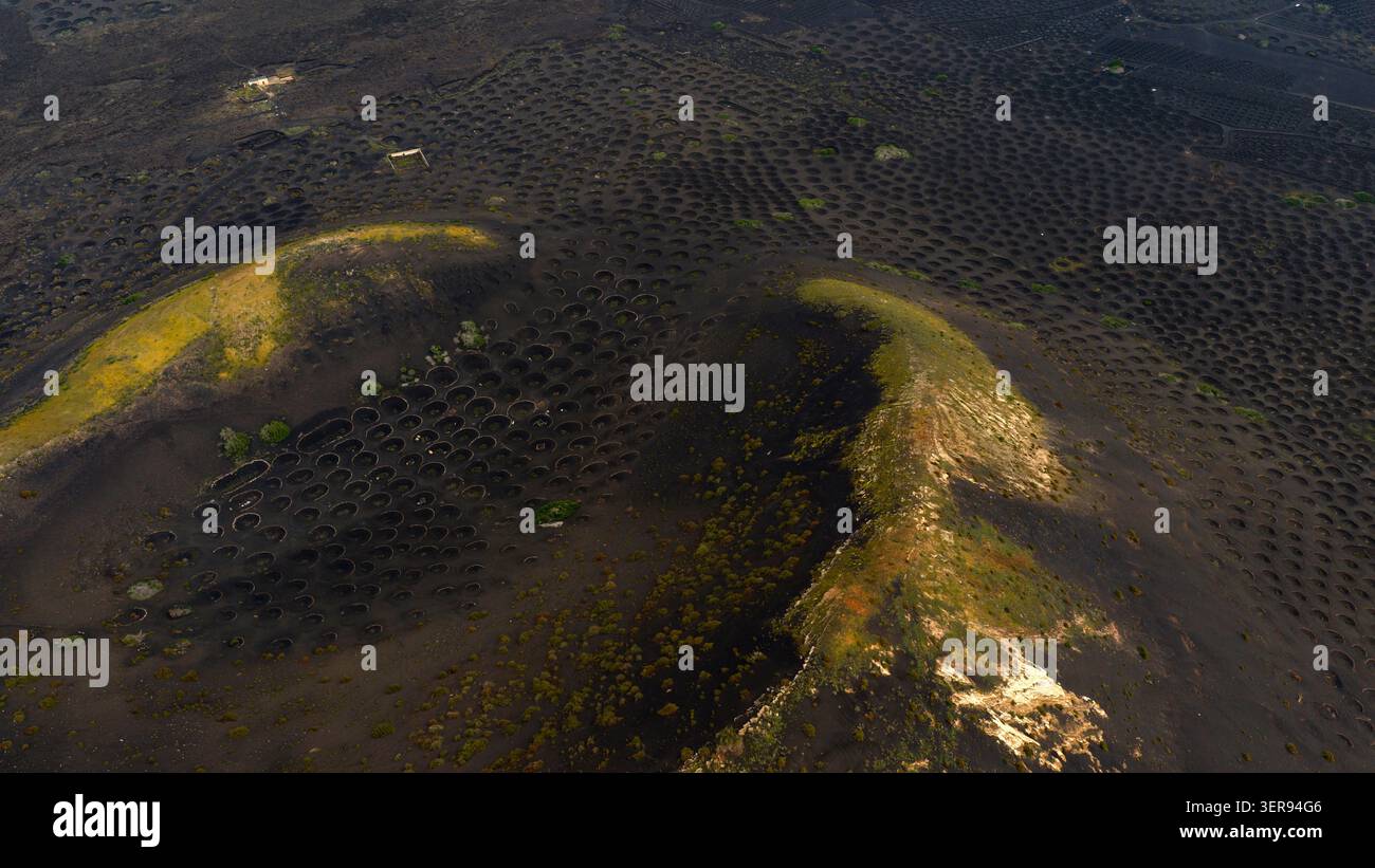 Vista aerea dei vigneti la Geria a Lanzarote, Isole Canarie, con pozzi vulcanici circolari che proteggono la vite su pendii di cenere nera, che brillano in m Foto Stock