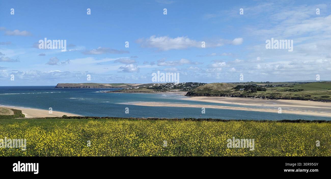 Vista spettacolare dell'estuario dei cammelli vicino a Padstow, Cornovaglia - Regno Unito Foto Stock