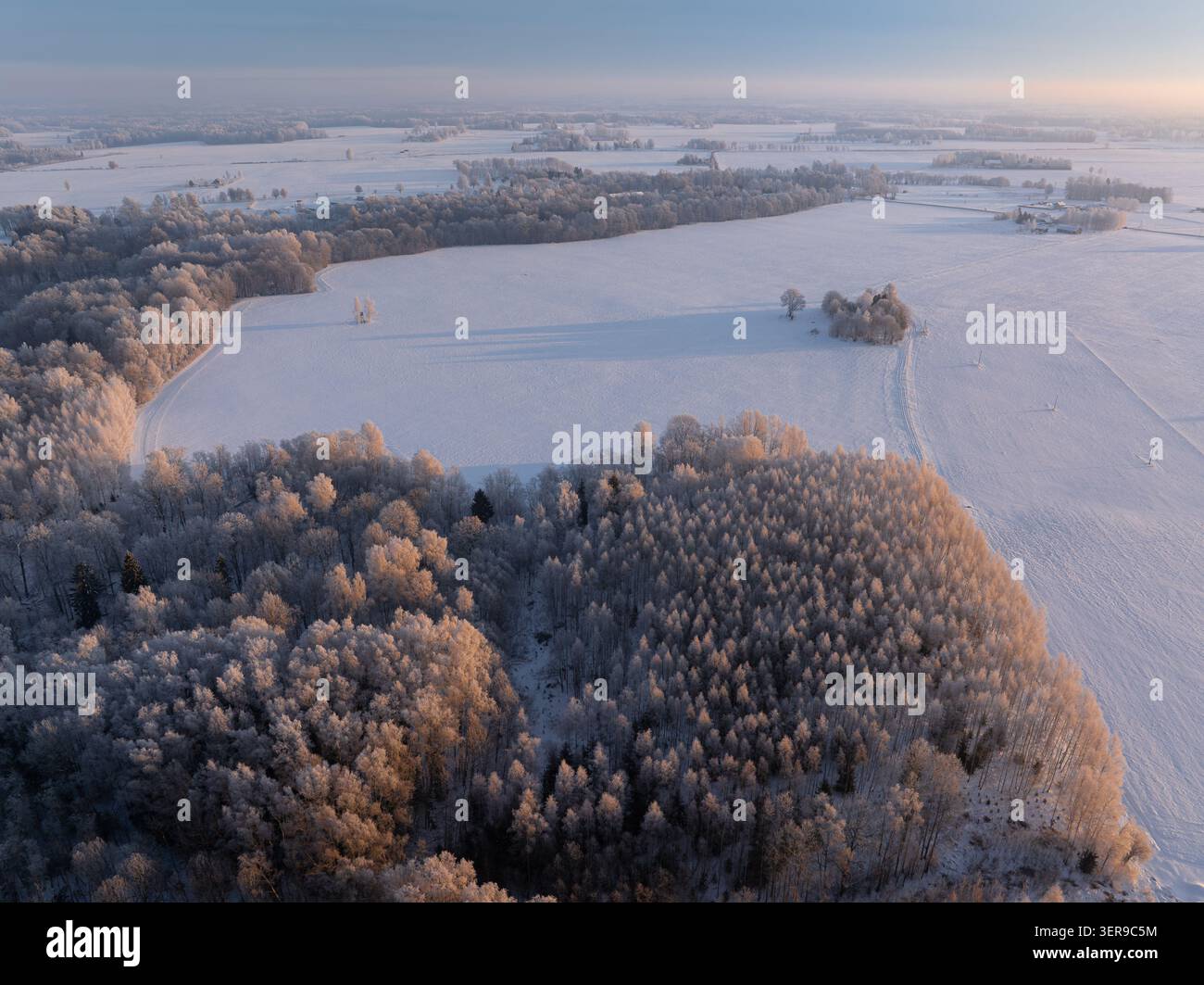 Paesaggio aereo invernale con campi innevati e foresta ghiacciata all'alba in Lettonia Foto Stock