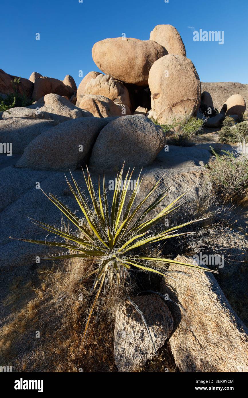 Boulders, Joshua Tree National Park, California, Stati Uniti Foto Stock
