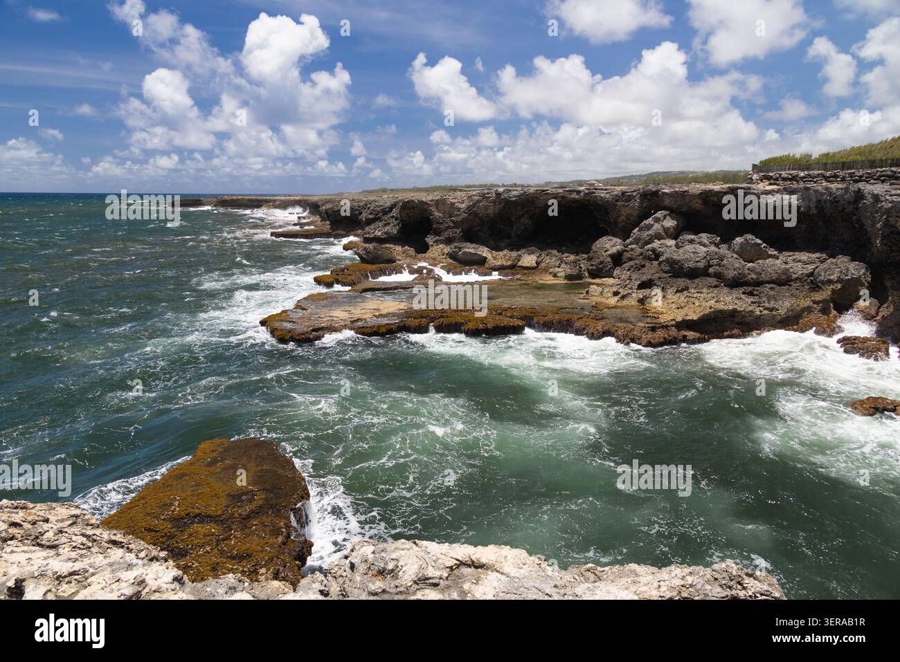 La vista della costa occidentale atlantica Animal Flower Bay dalla Animal Flower Cave, North Point Gardens, Saint Lucy, Barbados Foto Stock