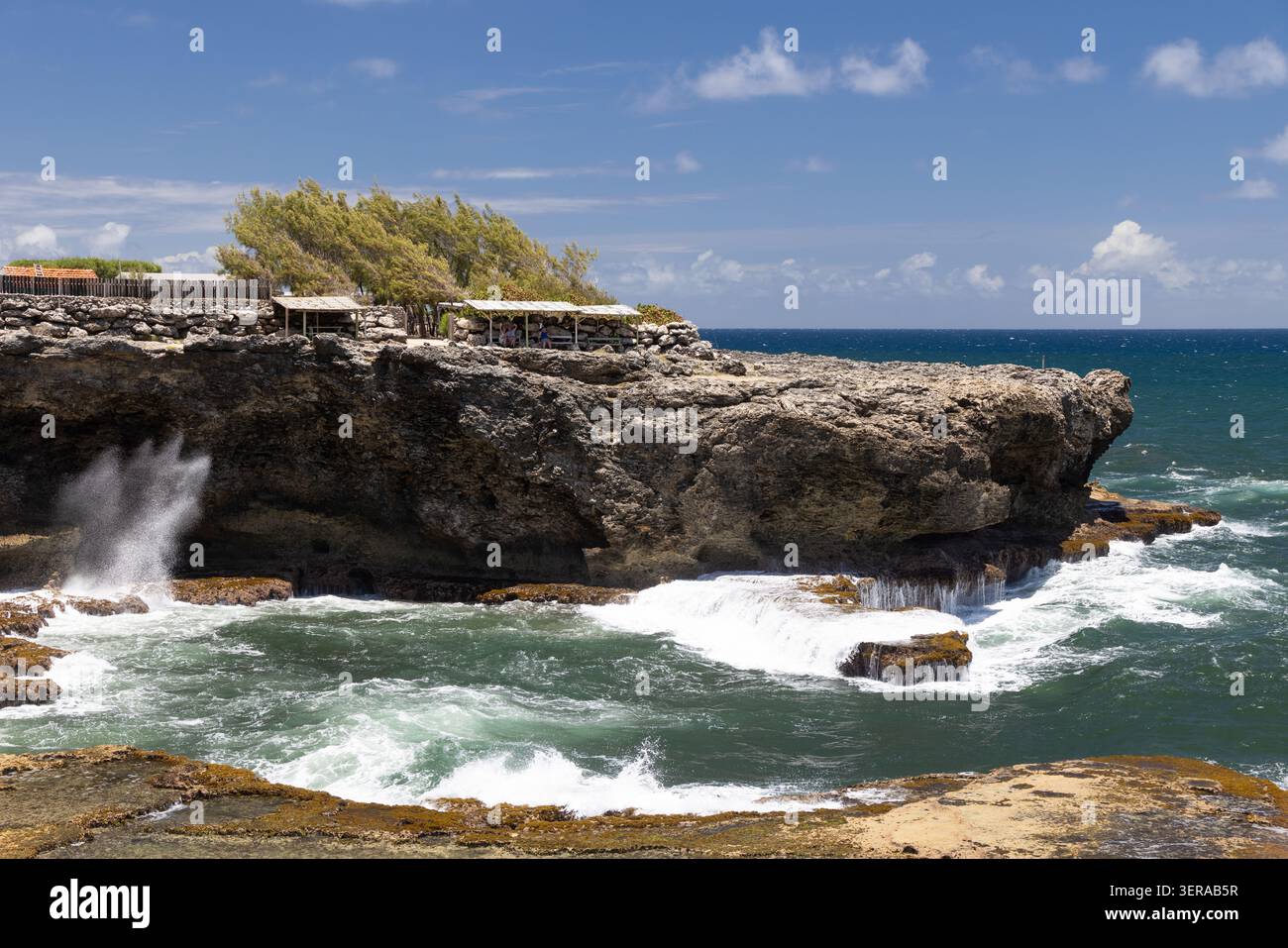 La vista della costa occidentale atlantica Animal Flower Bay dalla Animal Flower Cave, North Point Gardens, Saint Lucy, Barbados Foto Stock