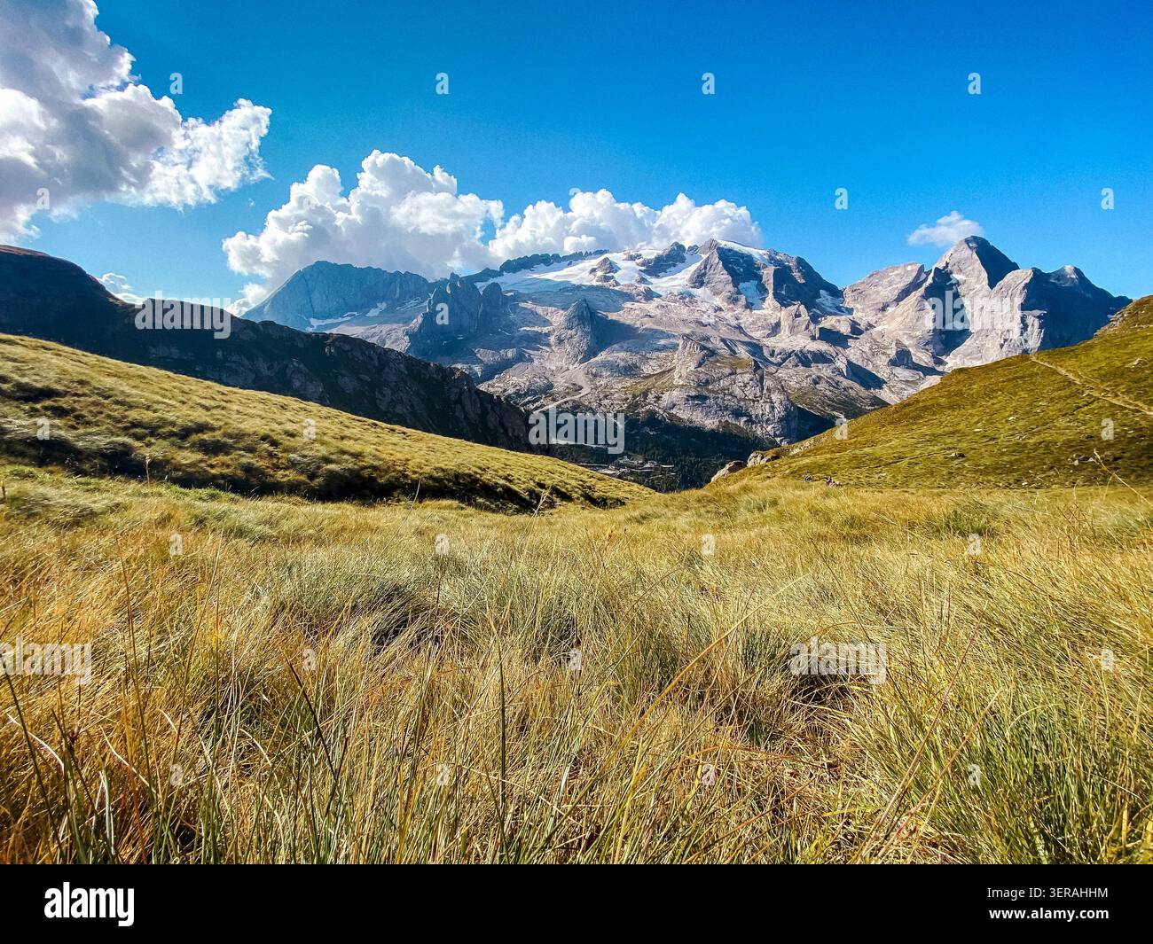 Catena montuosa alpina con picchi glaciali su un altopiano erboso Foto Stock