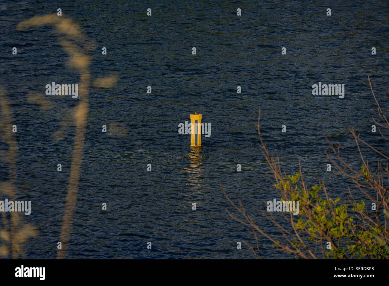La boa gialla per la navigazione galleggia sul fiume ondulato Foto Stock
