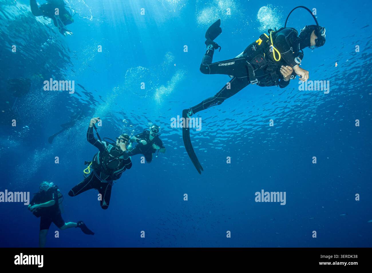 Egitto, Sharm El Sheikh, subacquei Foto Stock