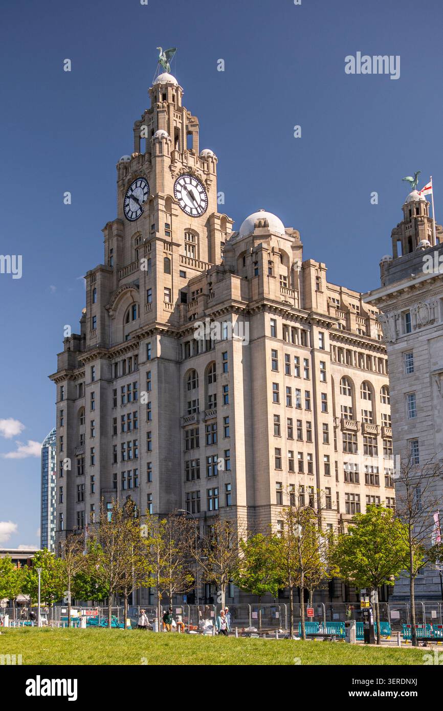 Il Royal Liver Building del 1911 fu costruito presso l'ufficio principale della Royal Liver Assurance Company. Foto Stock