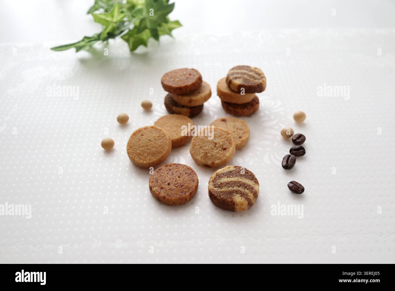 Biscotti senza additivi realizzati con soia giapponese fresca in polvere di okara. Cafe au lait e sapore di cannella. Foto Stock