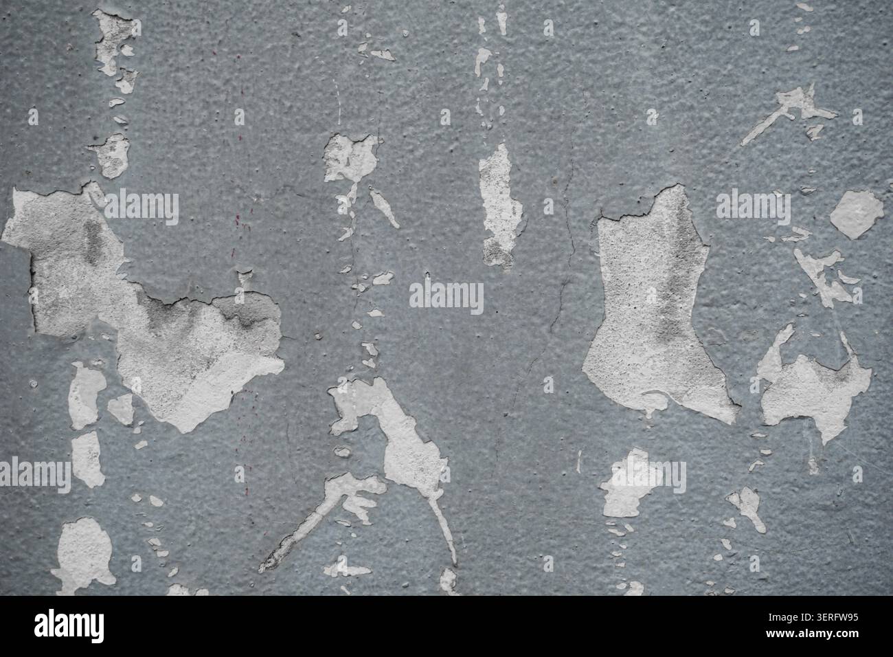 Un'esplorazione ravvicinata della superficie di una parete intemprata, dove strati di vernice blu-grigio si sono staccati per rivelare il calcestruzzo poroso grezzo sottostante. Foto Stock